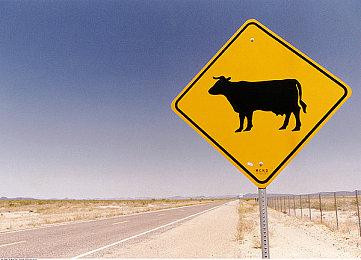 恋爱养成游戏《李雷和韩梅梅：与你同在》 于Steam平台推出试玩版